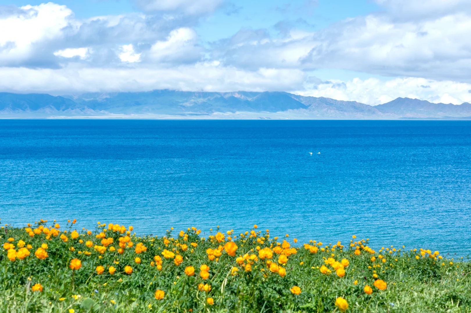 快樂的新疆旅客